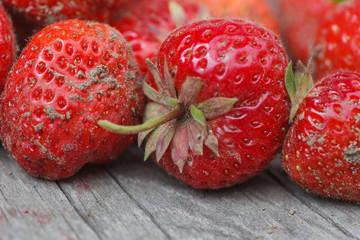Strawberries