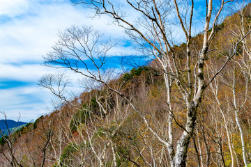 日光　半月山と中禅寺湖