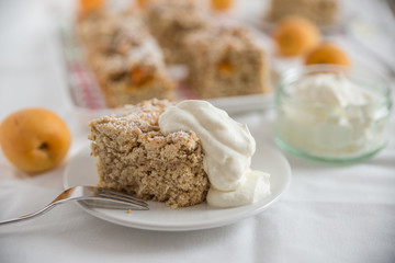 Aprikosen Streusel Kuchen 