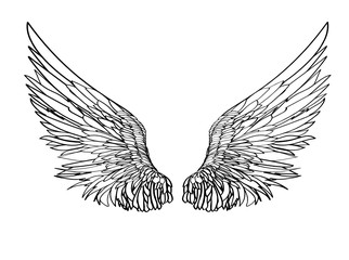 Wings. Vector illustration on white background. Black and white style