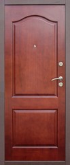 Fototapeta premium Entrance door (metal door)