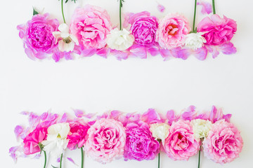 Floral frame of pink roses and white ranunculus on white background. Floral composition. Flat lay, top view