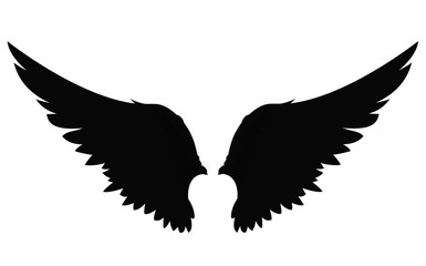 Obraz premium Wings. Vector illustration on white background. Black and white style