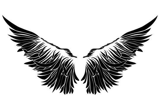 Wings. Vector illustration on white background. Black and white style 