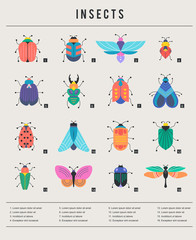 Bugs, insects, Butterfly, ladybug, beetle, swallowtail, dragonfly collection. Modern set of icons, symbols and illustrations © Marina Zlochin