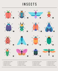 Foto op Plexiglas Bugs, insects, Butterfly, ladybug, beetle, swallowtail, dragonfly collection. Modern set of icons, symbols and illustrations © Marina Zlochin