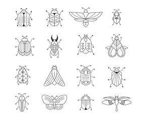 Bugs, insects, Butterfly, ladybug, beetle, swallowtail, dragonfly collection. Modern set of icons, symbols and illustrations © Marina Zlochin