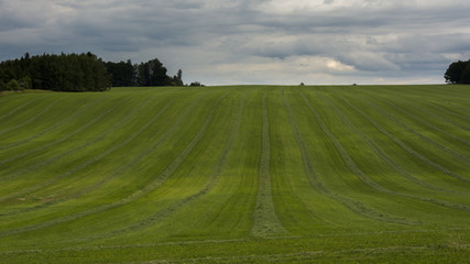 Large green planted field with trees and cloudy sky.