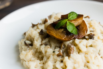 Risotto with mushrooms on a dark wooden background