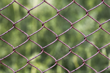 Fototapeta premium Wire fence In the shape of a rhomb
