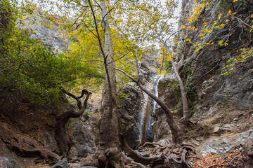 A view of a small waterfall in troodos mountains in cyprus