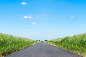 Asphalt road leading far away, surrounded with green fields of green grass, with blue sky on a bright summer day