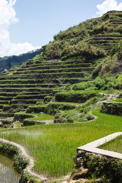 Maligcong rice terraces of the municipality in Mountain Province, Philippines