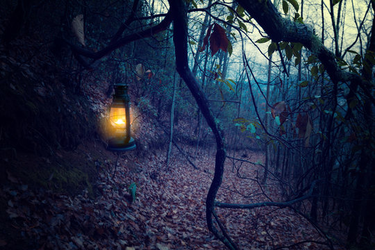 Fototapeta Vintage lantern at dark old forest