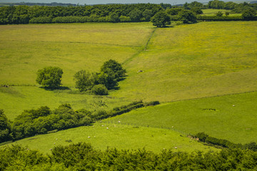 Obraz premium exmoor national park UK