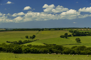 Fototapeta premium exmoor national park UK