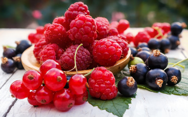 Fresh raspberries in a wooden cup. Red and black currants. Fresh berries on a wooden garden table