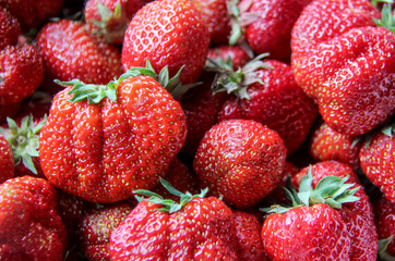 Strawberries texture