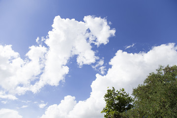 Blue sky with beautiful clouds.