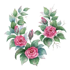 Foto auf Acrylglas Branches of pink сurly rose on white background. Watercolor illustration. © natalypaint