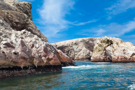 Birds in Ballestas Island (Paracas/Pisco, Peru)