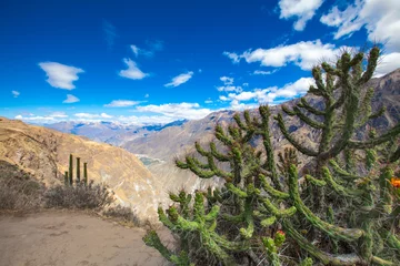 Foto op Canvas landscape of Arequipa, Peru © Pakhnyushchyy