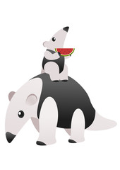 アリクイの親子