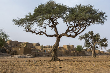 Panorama of Dogon Village, Sangha, Mali