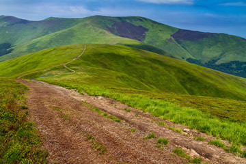Obraz premium Sunny summer morning on the Borzhava ridge in the Carpathians