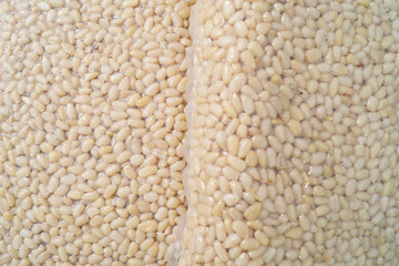 Two vacuum  packs of pine nuts