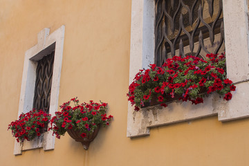 Fototapeta na wymiar Flowers in apartment windows in cute rome building quiant and romantic.