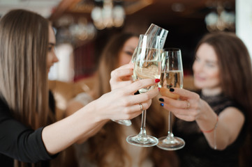 Portrait of happy young friends touching the glasses with each other