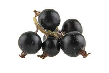 Black currant isolated on white background