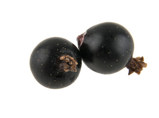 Black currant isolated on white background
