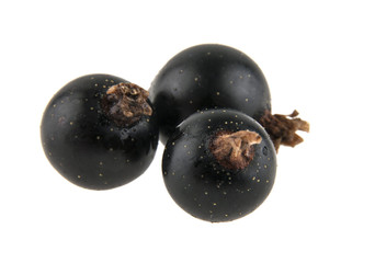 Black currant isolated on white background