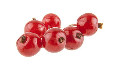 Red currant isolated on white background