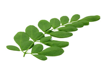 moringa leaves