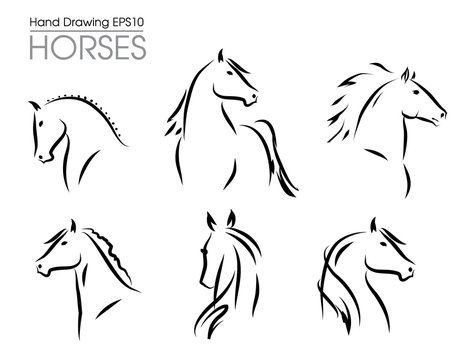 Set of hand drawn vector horses silhouettes