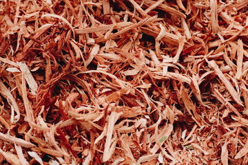 Wood Sawdust Background