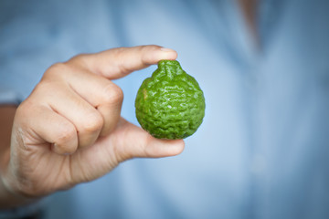 Woman hand showing fresh bergamot selecting for food preparation