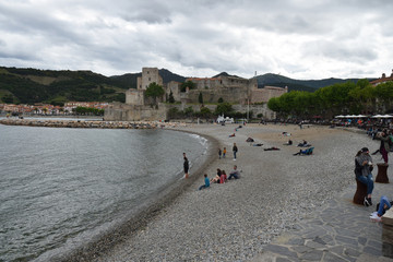  Collioure, pyrénées orientales, roussillon, occitanie, France : le château royal et la plage