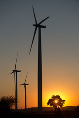 winmolens in duitsland