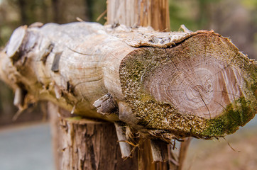 Macro closeup of fence made with wooden logs