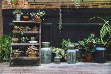 cactus garden decoration,old pottery in garden,gardening decoration element,green plant on pottery...