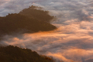 Landscape with the mist at Pha Tung mountain in sunrise time, Chiang Rai, Thailand.