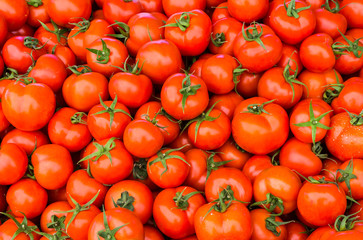group of red ripe tomatoes