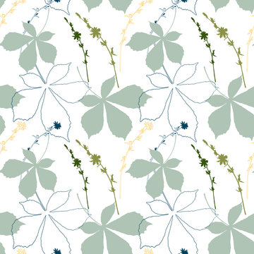 Vector floral seamless pattern  with  hand drawn chicory flowers and chestnut tree leaves.
