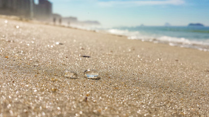 Fototapeta na wymiar Tiny jellyfish on the beach - Barra da Tijuca - Rio de Janeiro - Brazil