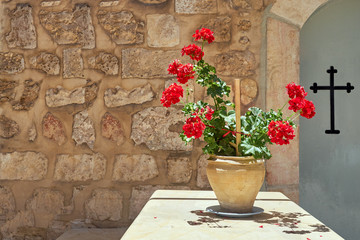 Plant in a pot with red flowers background cross and old stone wall