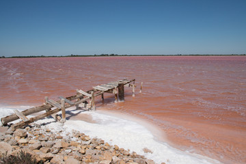 marrais salant rose et ponton vieux bois